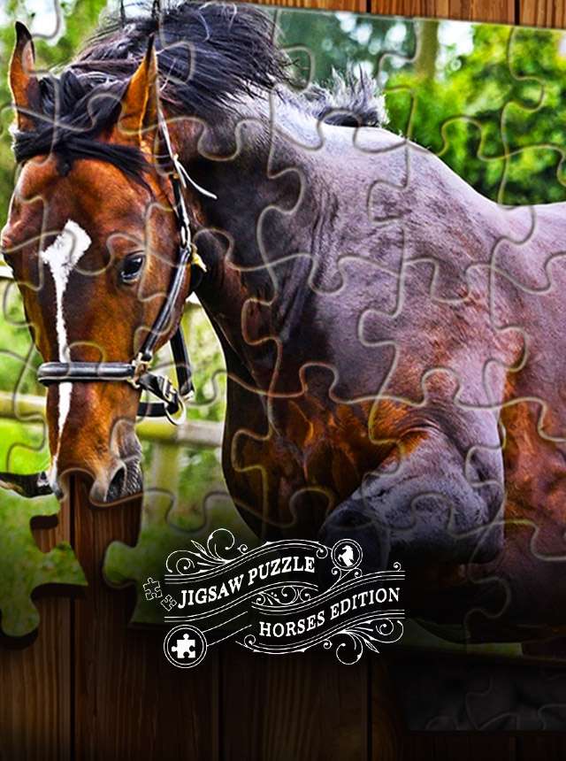 Play Jigsaw Puzzle Horses Edition Online