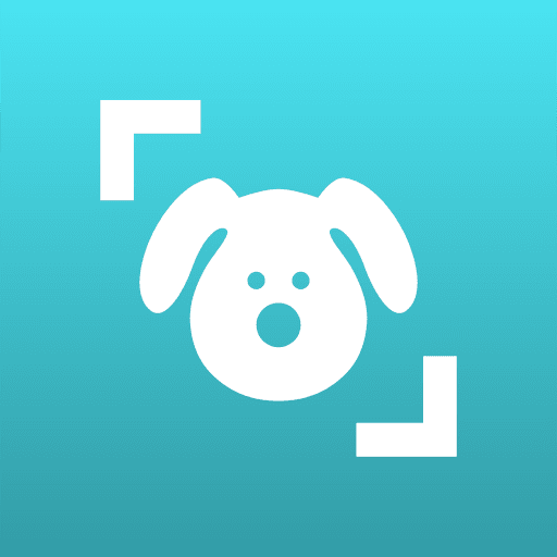 Play Dog Scanner: Breed Recognition online on now.gg