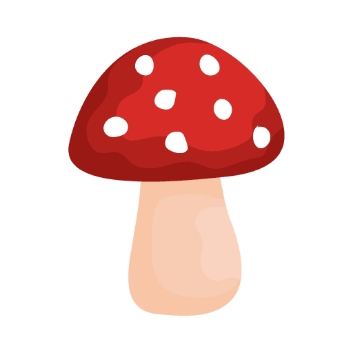 Play Shroomify - USA Mushroom ID online on now.gg