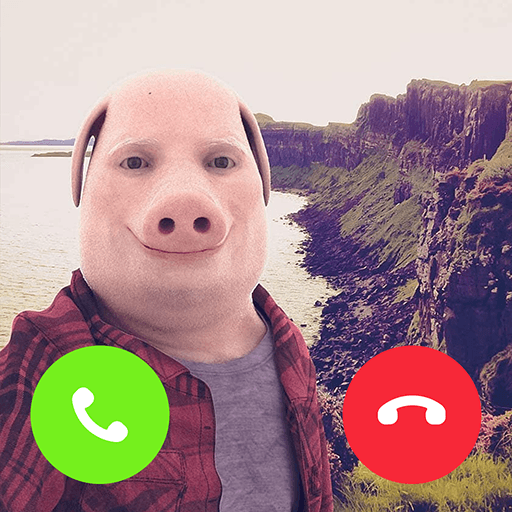 Play John Pork In Video Call online on now.gg