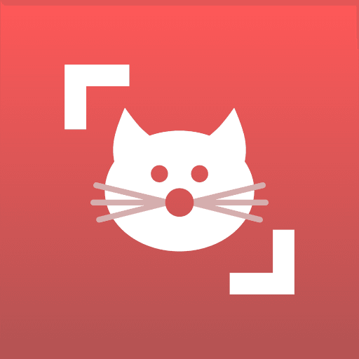 Play Cat Scanner: Breed Recognition online on now.gg