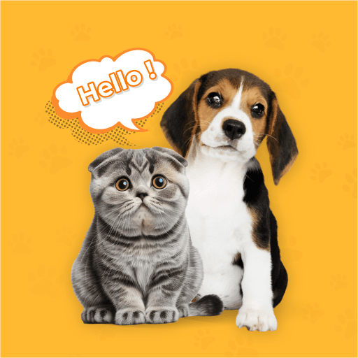 Play Dog & Cat Translator Prank App online on now.gg