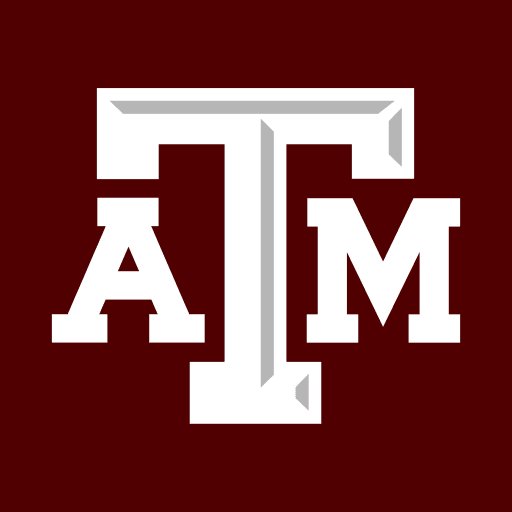 Play Texas A&M University online on now.gg