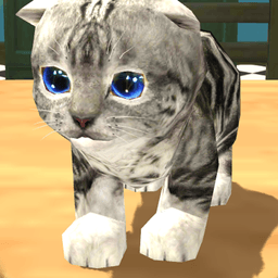 Play Cat Simulator online on now.gg
